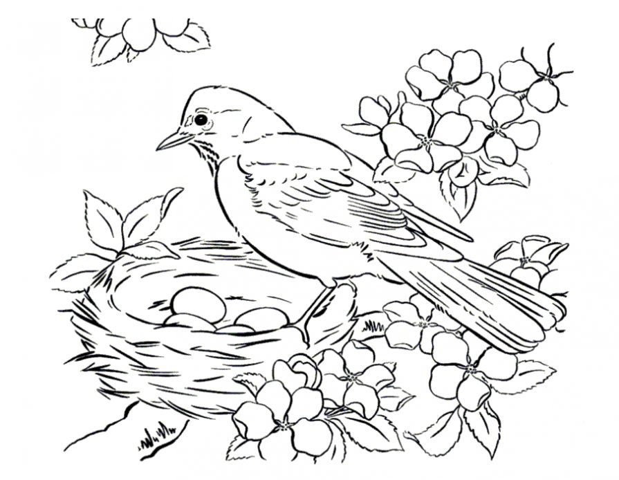 Раскраска весна, птица с птенцами в гнезде для детей распечатать