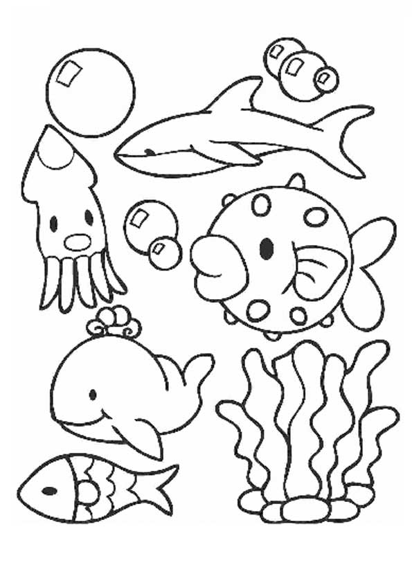  раскраски на тему рисуем морских обитателей для мальчиков и девочек. Познавательные раскраски с морскими обитателями для детей              