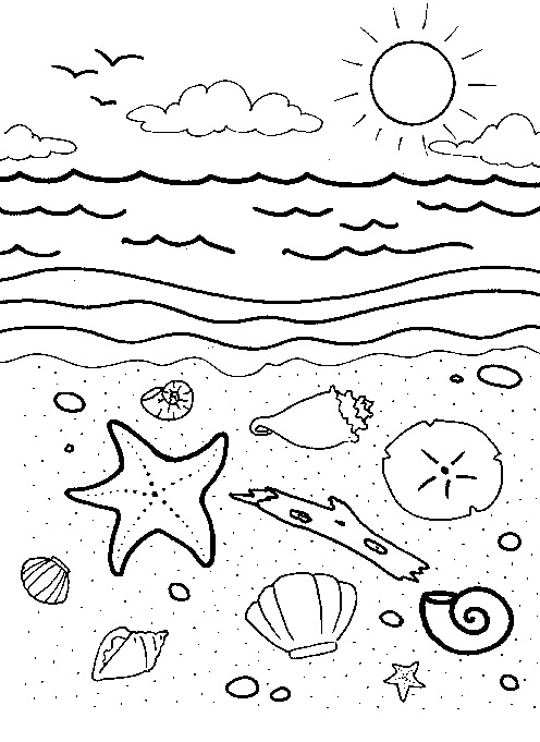  раскраски на тему море для мальчиков и девочек. Познавательные и интересные раскраски с морем для детей и взрослых. Окружающий мир        