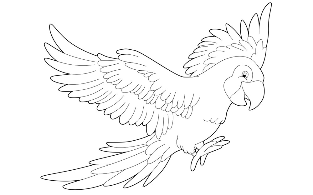 Скачать и распечатать Раскраска попугай
