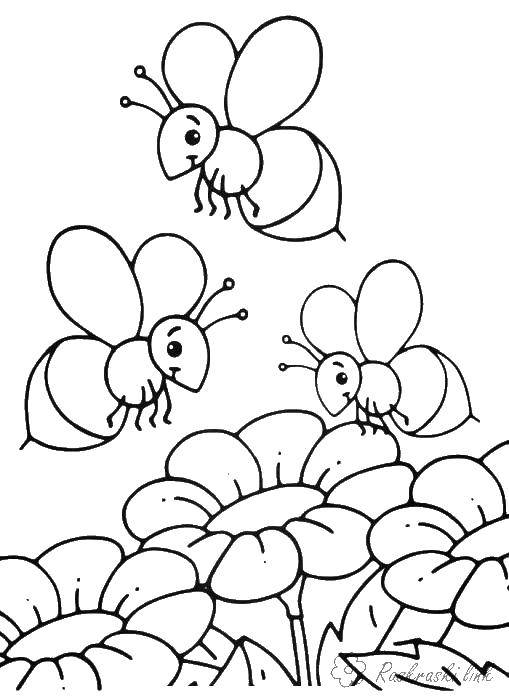  раскраски на тему рисуем насекомых   раскраски на тему рисуем насекомых для мальчиков и девочек. Познавательные раскраски с насекомыми для детей. Бабочки, гусеницы, кузнечики 