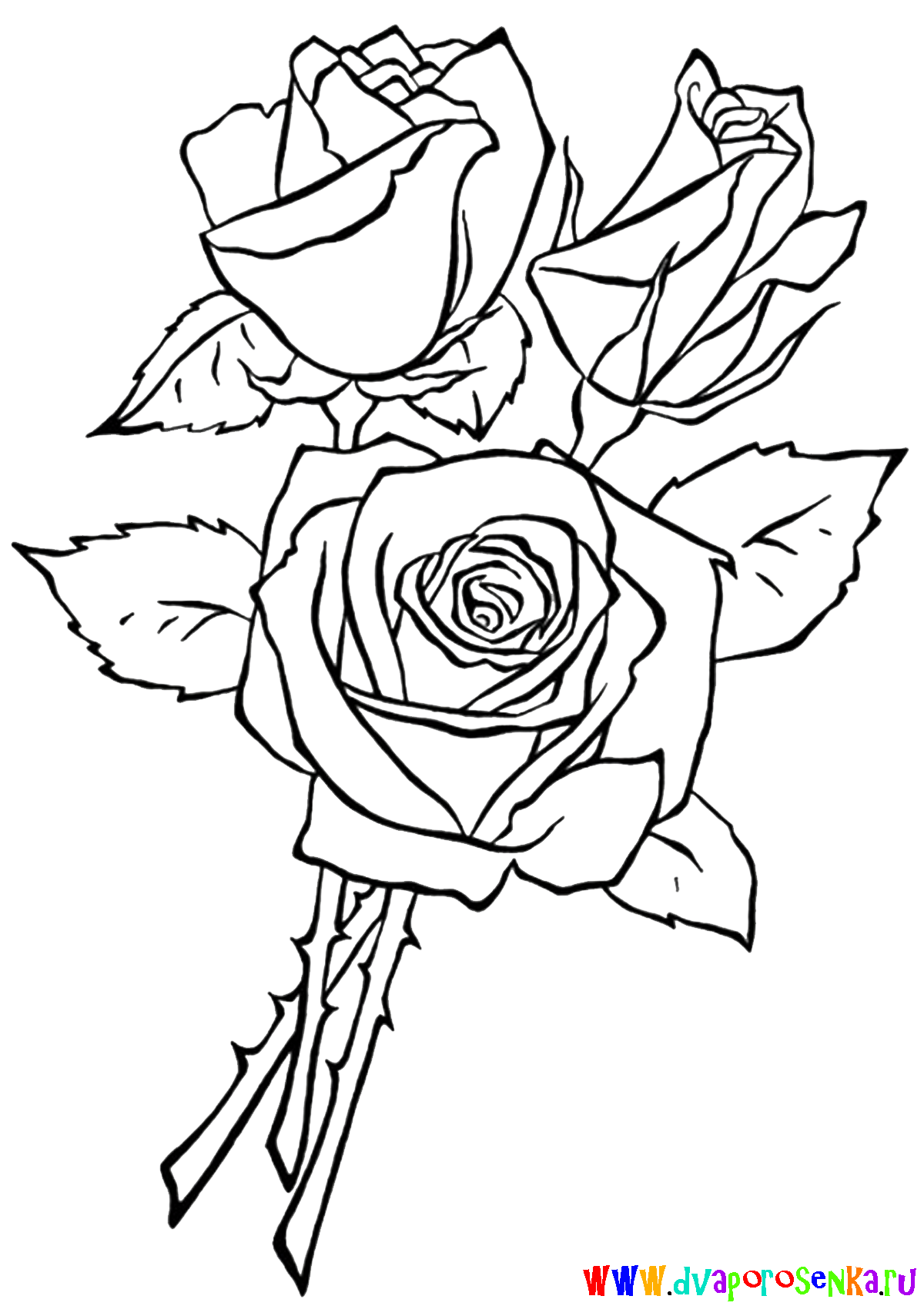 Раскраска роза цветок. Распечатать картинки цветы в вазе.