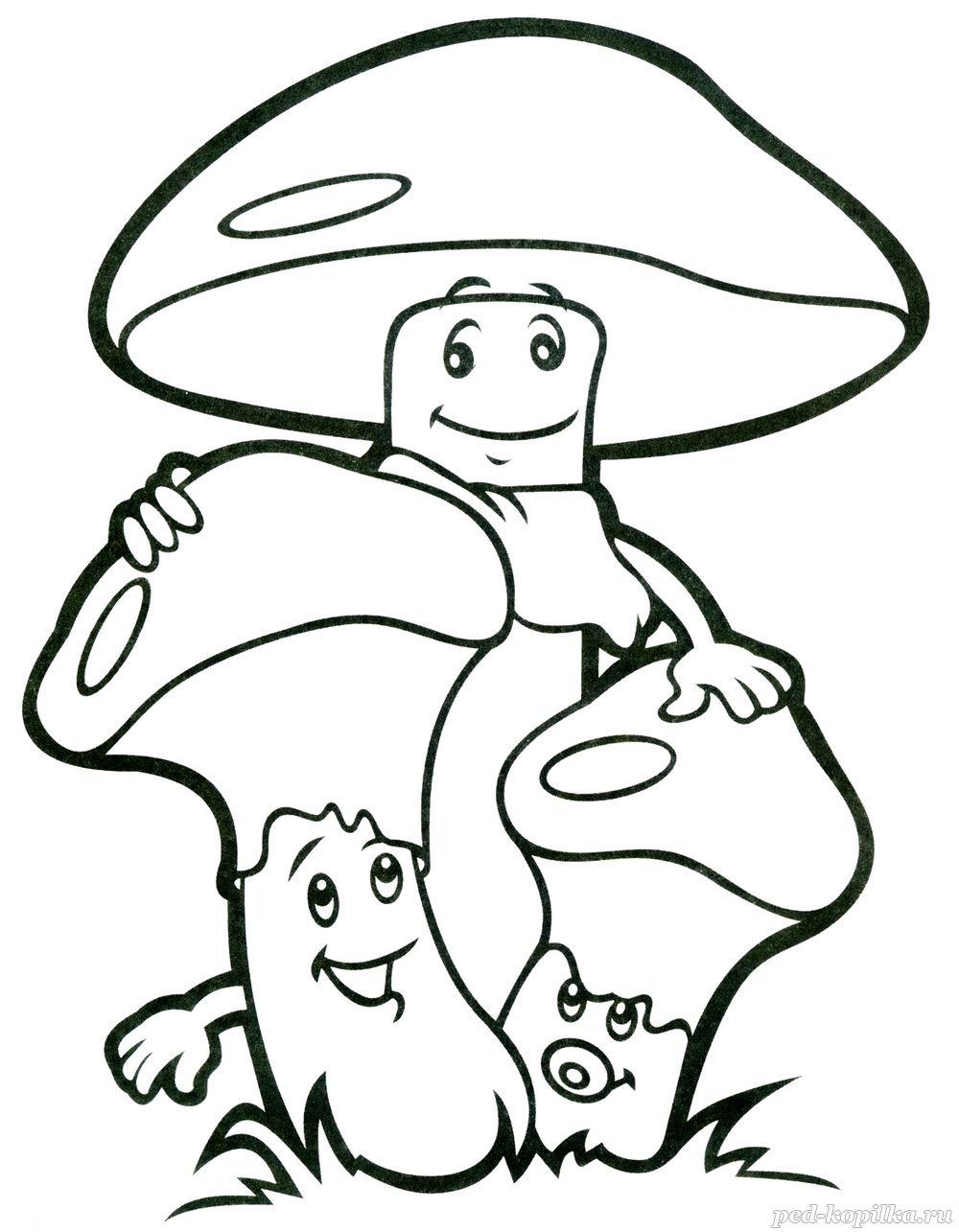  раскраски на тему грибы для детей        раскраски с грибами на тему окружающий мир для мальчиков и девочек. Познавательные и интересные раскраски с грибами для детей               