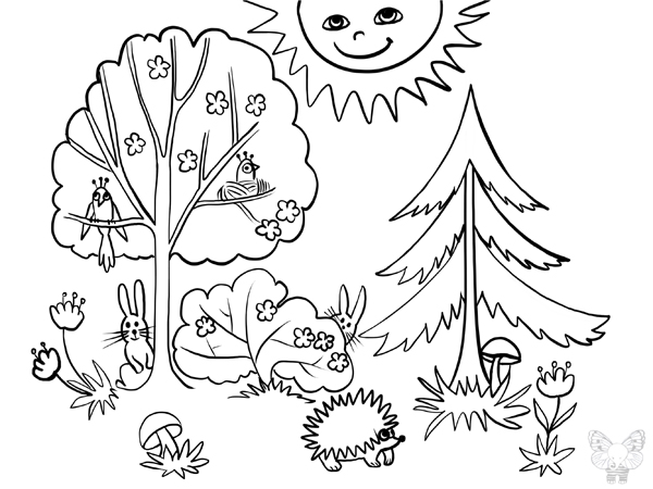 Скачать бесплатные раскраски лес. Раскраски детские с лесом онлайн бесплатно. Раскраски для детей с природой. Раскраски для детей скачать. Бесплатные детские раскраски.