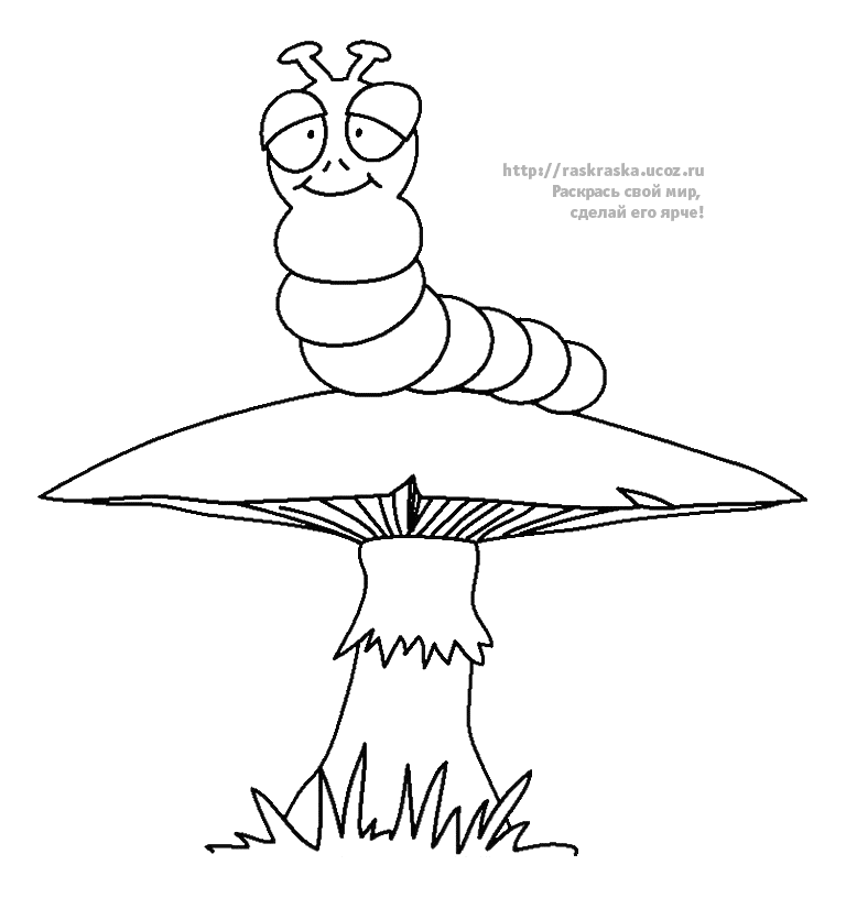  раскраски на тему гусеница                       раскраски с гусеницами на тему окружающий мир для мальчиков и девочек.  раскраски с гусеницами для детей               