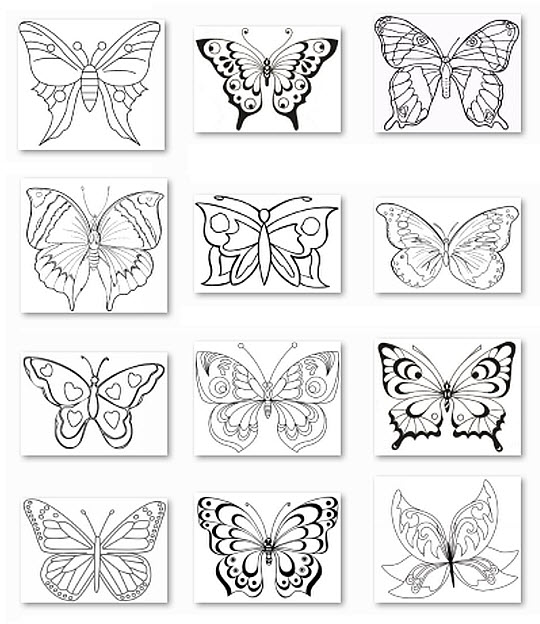  раскраски на тему бабочки для детей и взрослых. Раскраски с красивыми бабочками для взрослых. Раскраски с бабочками                         