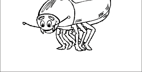  раскраски с жуками на тему окружающий мир для мальчиков и девочек.  раскраски с жуками для детей                              
