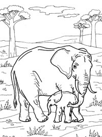 Скачать бесплатные раскраски для взрослых. Раскраски взрослые онлайн бесплатно. Раскраски с животными. Раскраски со слонами бесплатно. Бесплатные взрослые раскраски.