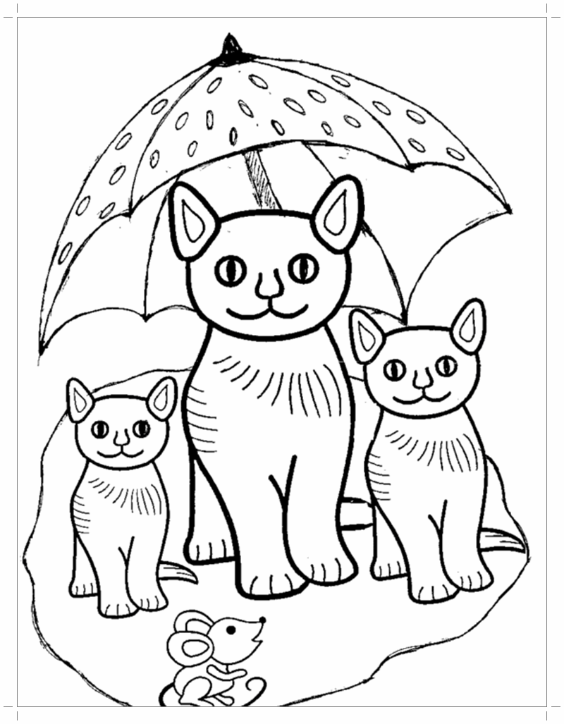 60+ бесплатных раскрасок с кошками и котятами – распечатывайте на А4 и раскрашивайте!