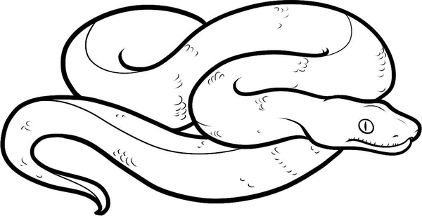 Змея рисунок: векторные изображения и иллюстрации, которые можно скачать бесплатно | Freepik