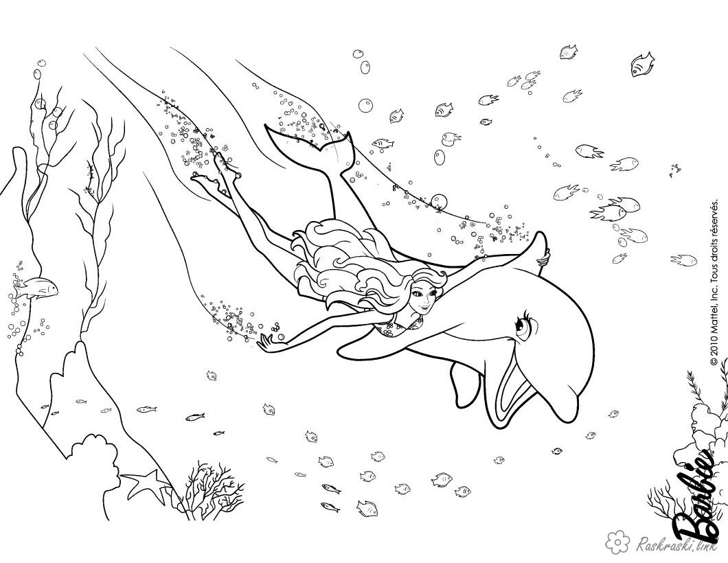  раскраски с дельфинами на тему окружающий мир для мальчиков и девочек.  раскраски с дельфинами для детей        