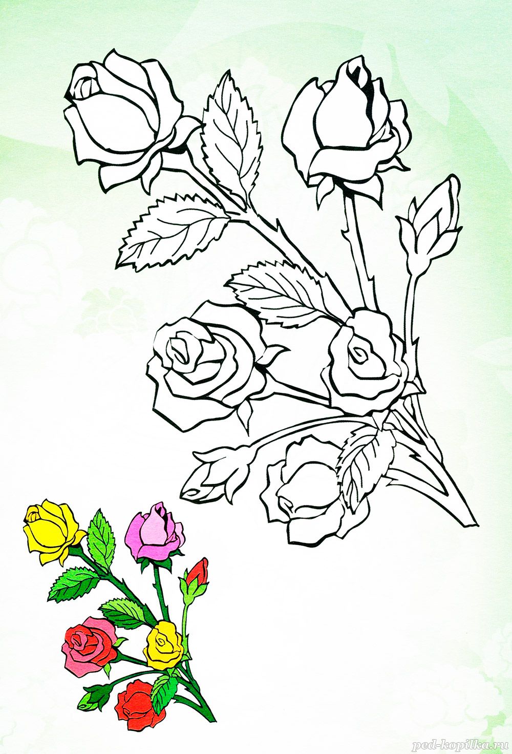 Розы. Раскраски для детей на тему розы. Раскраски на тему окружающий мир для детей. Раскраски с розами, раскраски розы, скачать раскраски с розами.                    