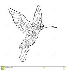  раскраски с колибри для детей             раскраски с колибри на тему окружающий мир для мальчиков и девочек.  раскраски с кколибри для детей и взрослых 