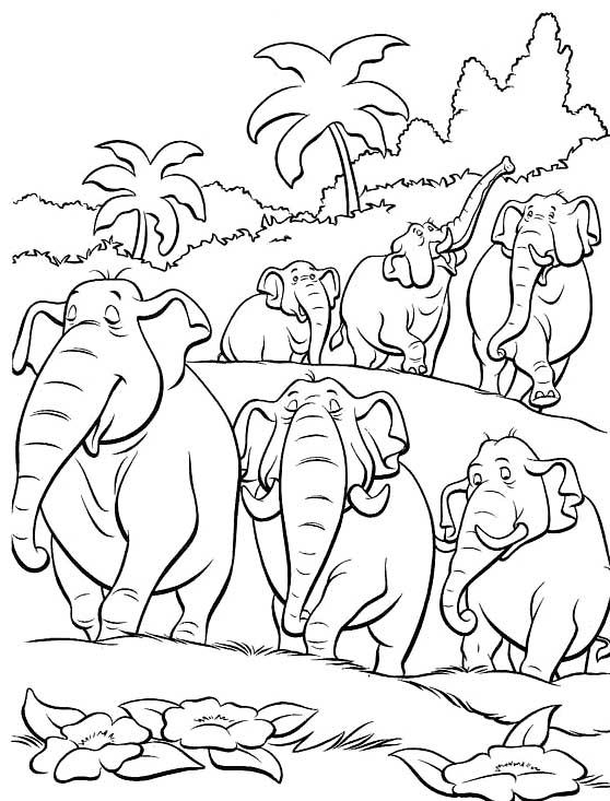 Раскраски с животными. Раскраски со слонами скачать бесплатно. Скачать бесплатные раскраски для взрослых. Раскраски взрослые онлайн бесплатно. Раскраски с животными. Раскраски со слонами бесплатно. Бесплатные взрослые раскраски.