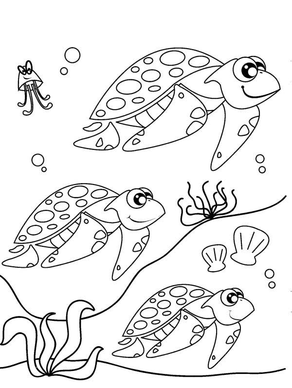 Раскраски для детей с героями мультфильма в Поисках Немо . Разукрашки с рыбами из сказки в Поисках Немо . Раскраски для любителей мультфильма в поисках Немо.   