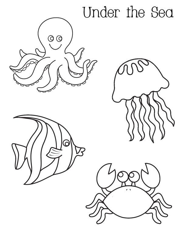  раскраски на тему медуза для детей       раскраски с медузой на тему окружающий мир для мальчиков и девочек. Познавательные и интересные раскраски с медузой для детей                      