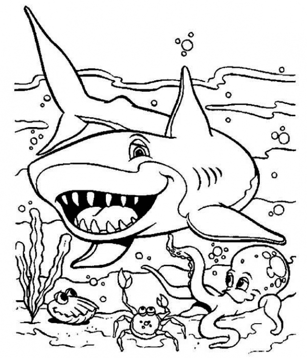 Акула. Раскраски на тему окружающий мир. Раскраски на тему подводного мира. Раскраски на тему акул. Морской мир. Подводный мир.