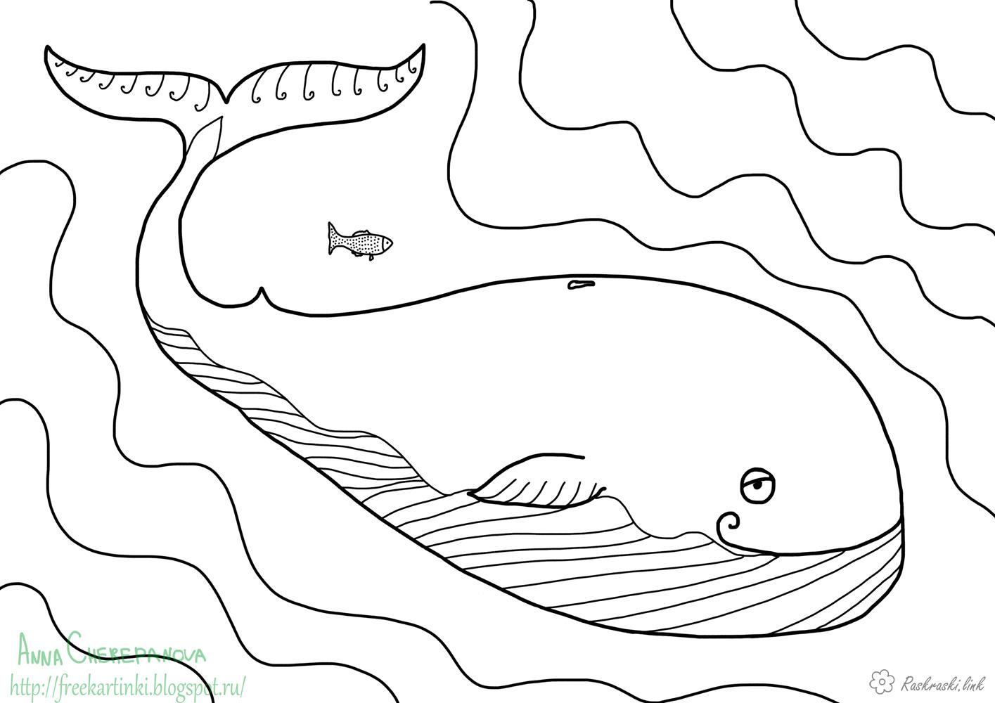  раскраски с китами на тему окружающий мир для мальчиков и девочек.  раскраски с китами для детей и взрослых      
