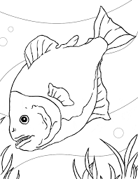  Раскраски детские подводный мир.  Скачать бесплатные раскраски рыбки. Раскраски для детей с рыбами. Раскраски для детей скачать. Бесплатные детские раскраски.  Раскраски детские подводный мир. 