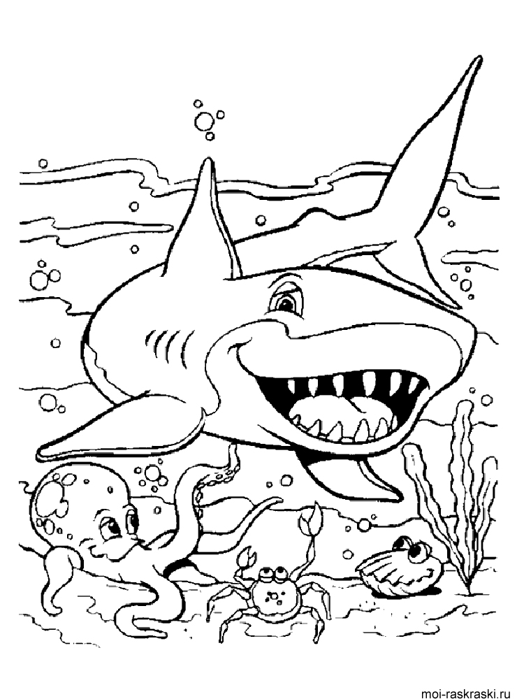 Скачать бесплатные раскраски с подводными обитателями.  Раскраски детские окружающий мир. Раскраски для детей с акулой. Раскраски для детей скачать. Бесплатные детские раскраски.