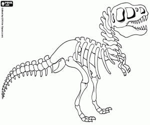  раскраски со скелетом Динозавра          раскраски на тему скелет динозавра для мальчиков и девочек.  раскраски со скелетом динозавров для детей и взрослых 