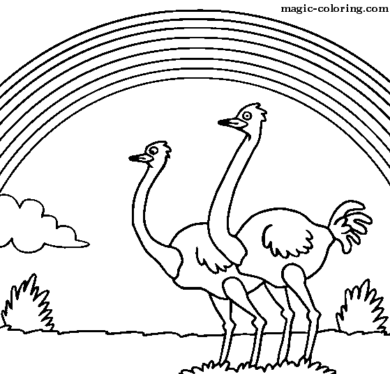 Раскраска страус - 65 фото