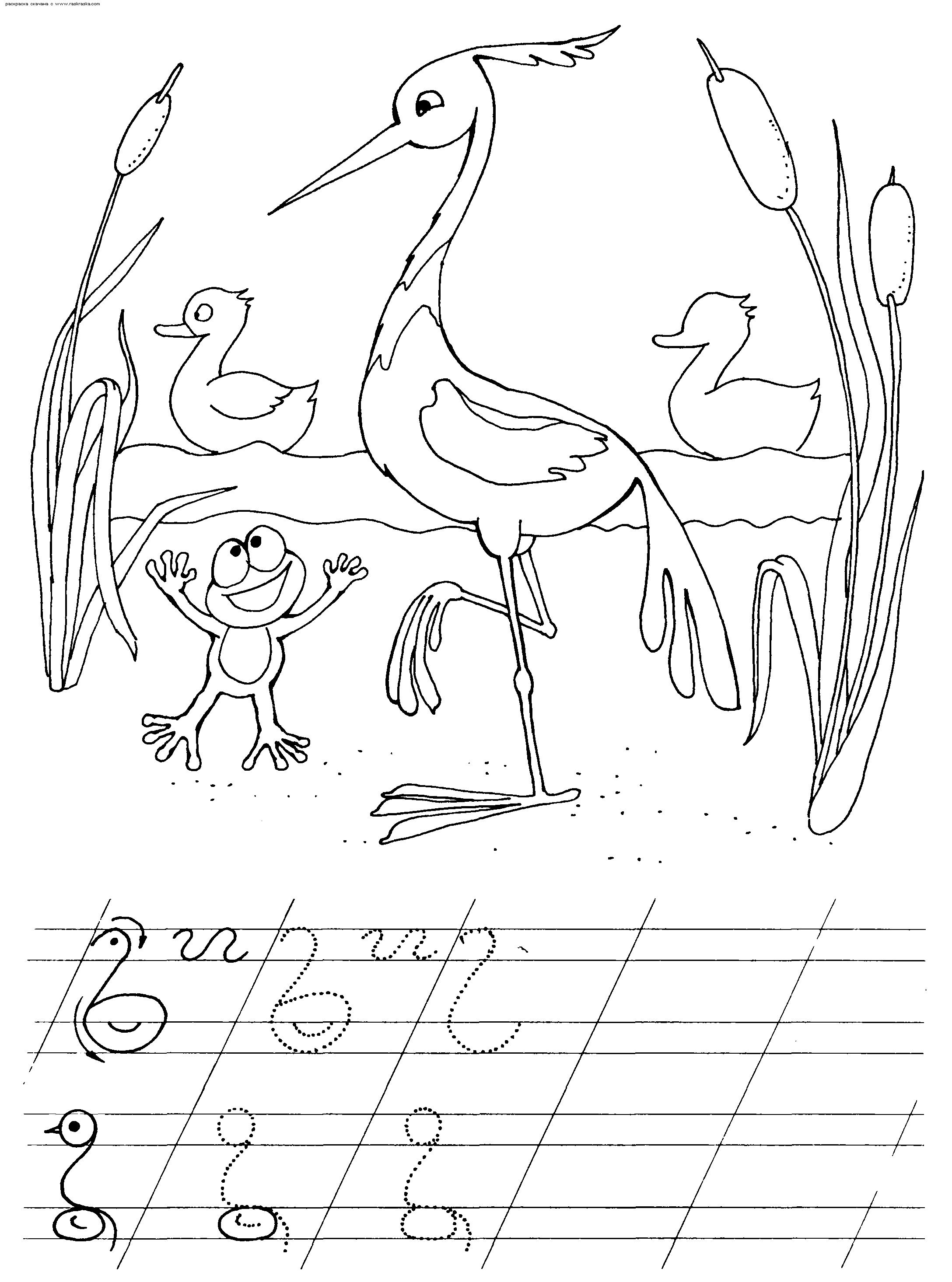 цапля птица пропись. цапля раскраска для детей. дуравлю красава рисунок. аист картинка для детей раскраска. перелетные птицы раскраска для детей.