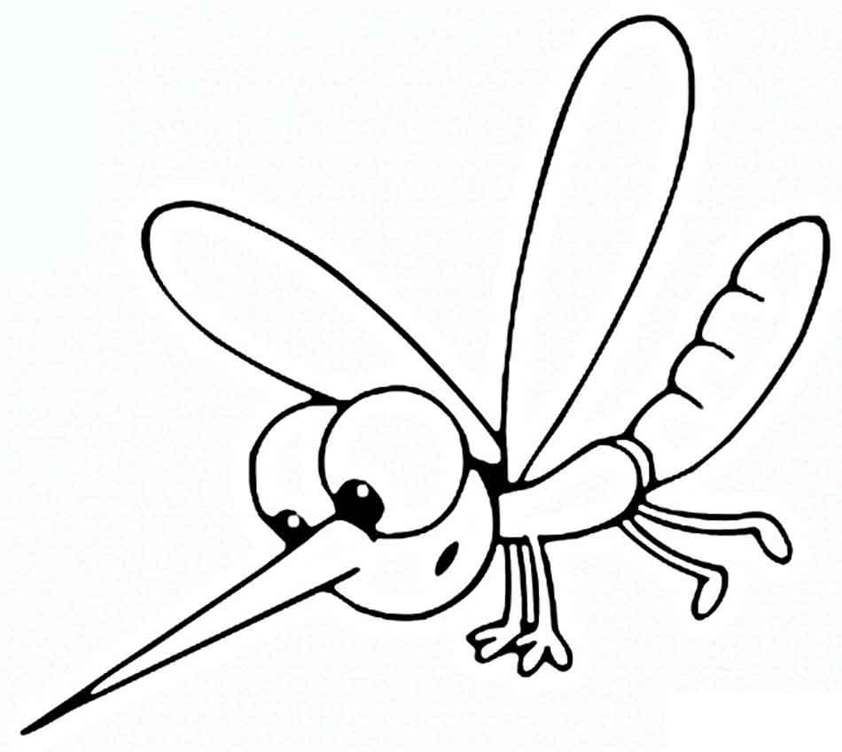  раскраски на тему комар для детей              раскраски с комарами на тему окружающий мир для мальчиков и девочек.  раскраски с комарами для детей и взрослых 