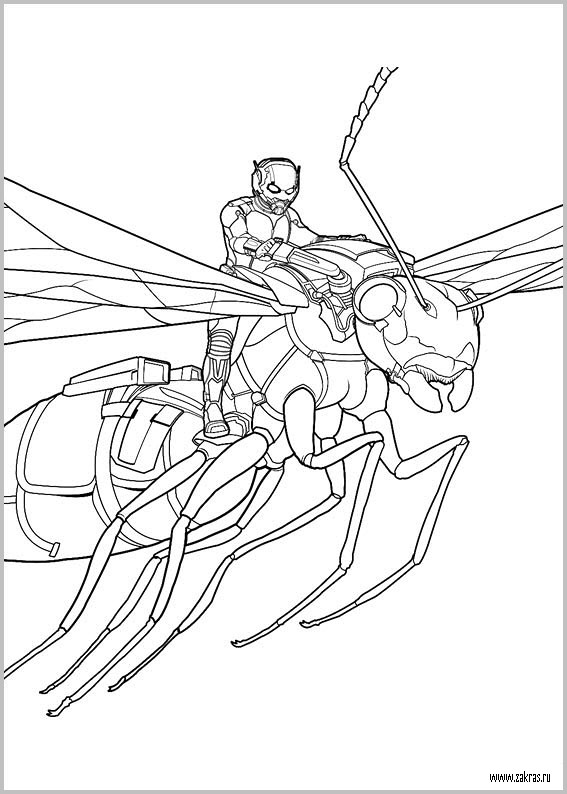 раскраски с человеком муравьем для детей   раскраски на тему человек муравей для детей. Интересные раскраски с персонажами вселенной Марвел для мальчиков и девочек. Человек Муравей 