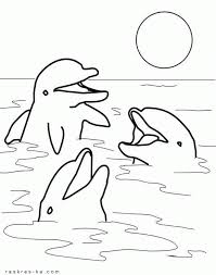  раскраски с дельфином для детей                 раскраски с дельфинами на тему окружающий мир для мальчиков и девочек.  раскраски с дельфинами для детей        