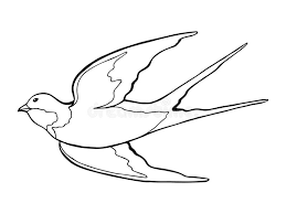  раскраски на тему ласточка для детей      раскраски с ласточками на тему окружающий мир для мальчиков и девочек.  раскраски с ласточками для детей         