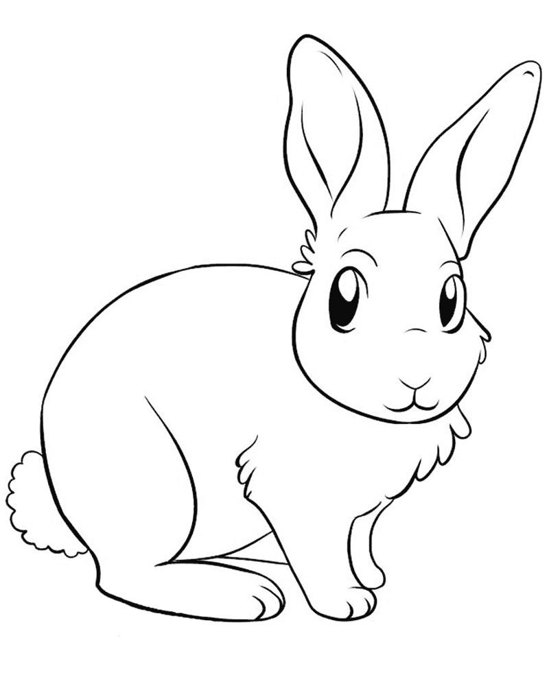 Раскраски Кролики