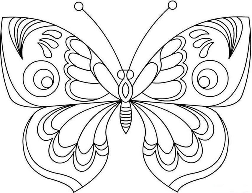 Купить детскую раскраску с блестками Бабочки в интернет-магазине Десятое Королевство