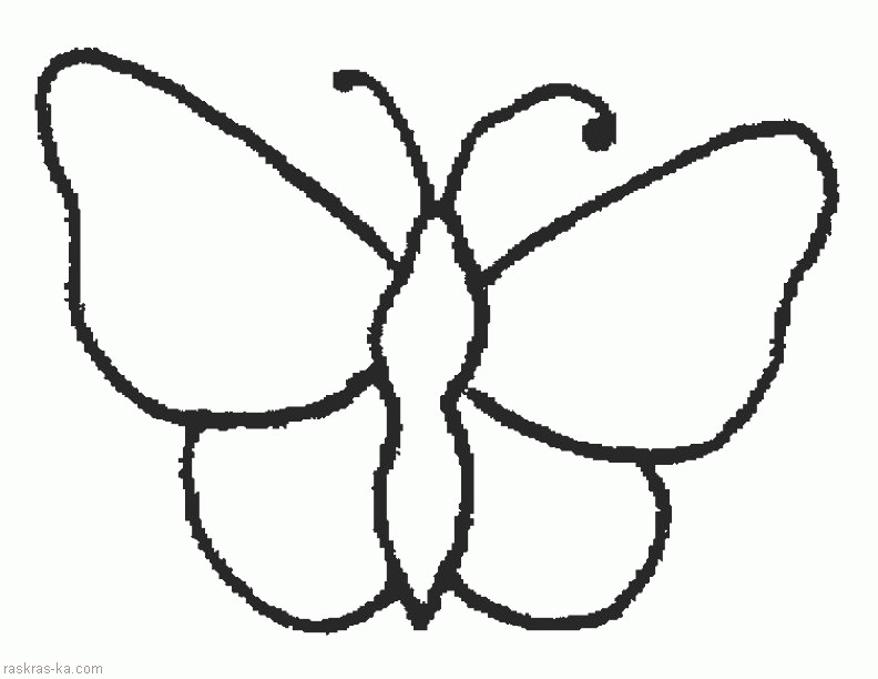 Бабочка Раскраска