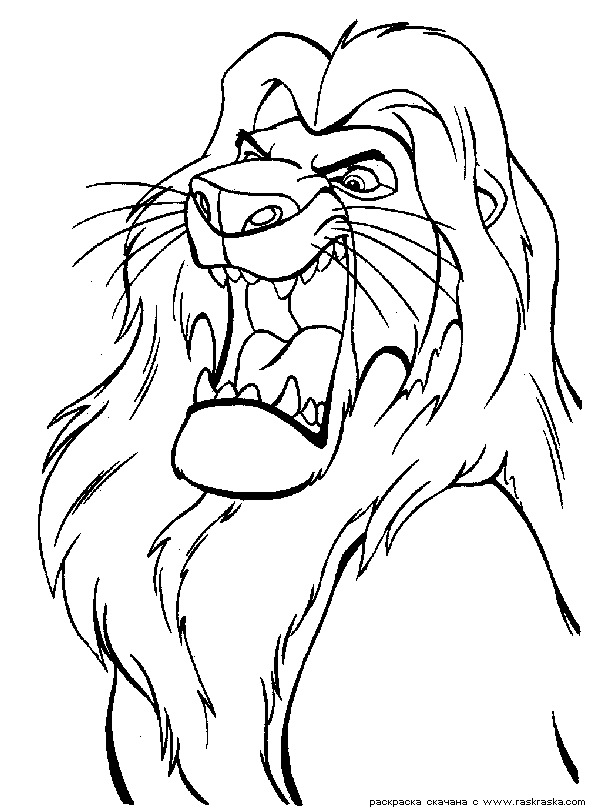  раскраски на тему король лев для мальчиков и девочек. Интересные раскраски с персонажами диснеевского мультфильма король лев для детей     