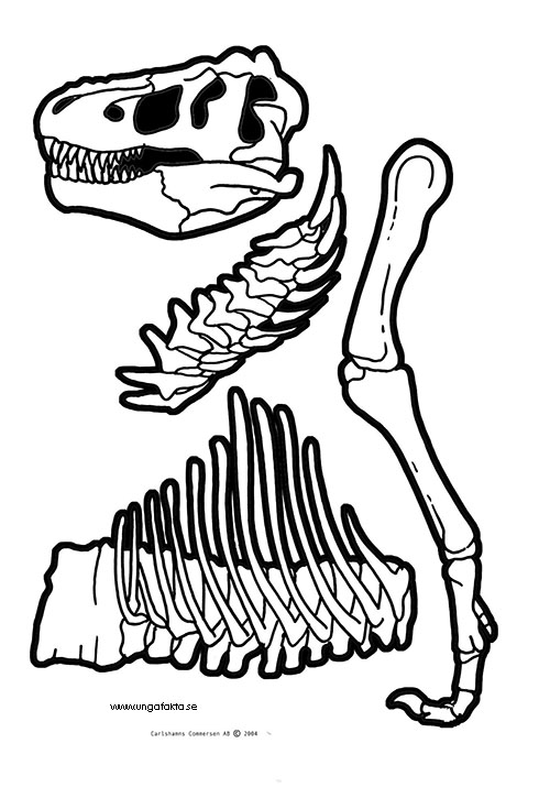  раскраски на тему скелет динозавра для мальчиков и девочек.  раскраски со скелетом динозавров для детей и взрослых 