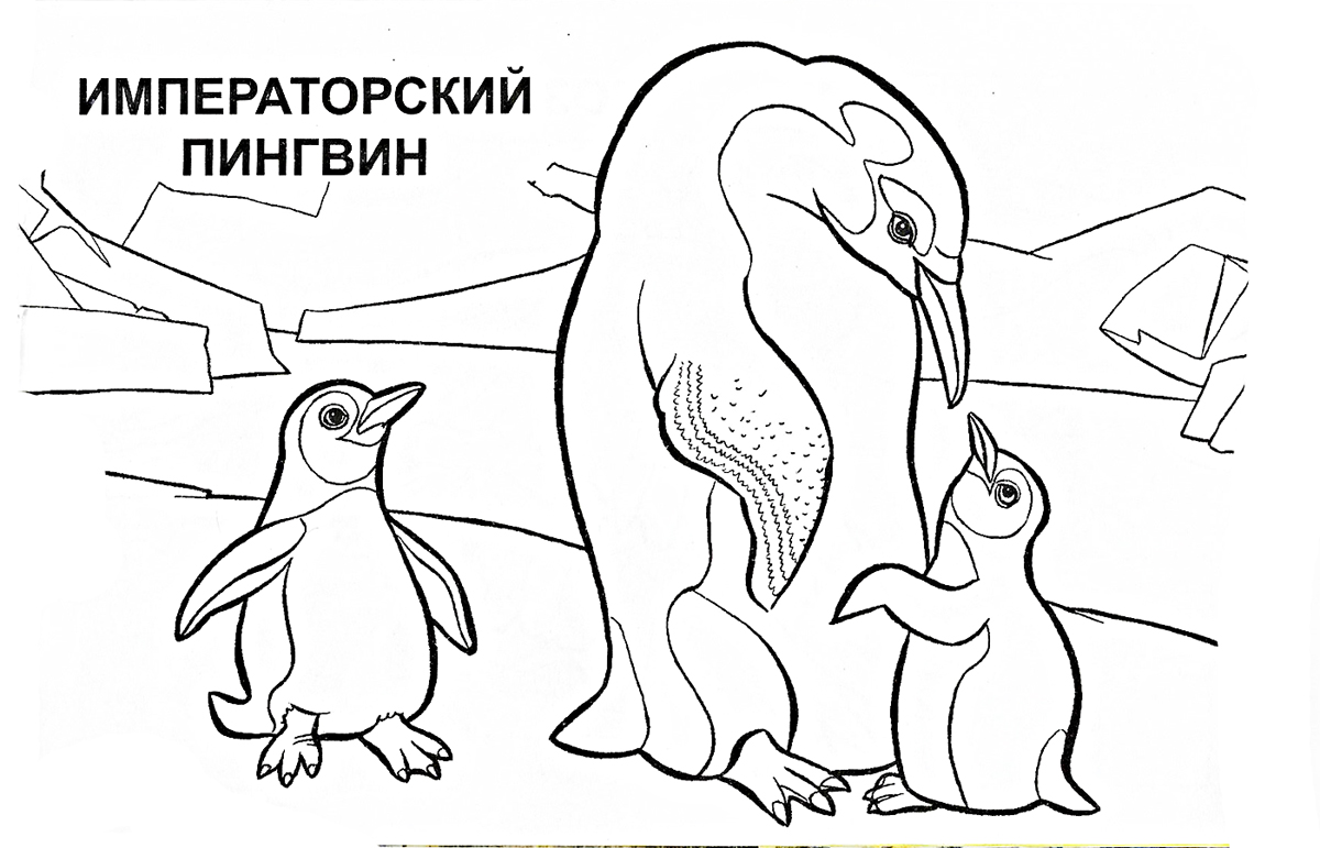 Раскраски детские окружающий мир. Раскраски для детей с дикими животными. Скачать бесплатные раскраски для детей.  Раскраски для детей с дикими животными. Раскраски для детей скачать. Бесплатные детские раскраски. Раскраски детские окружающий мир.