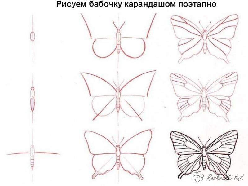  раскраски с жуками на тему окружающий мир для мальчиков и девочек.  раскраски с жуками для детей                              