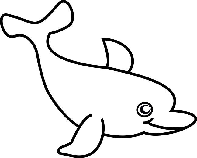 Раскраски дельфины дельфин   Раскраски дельфин