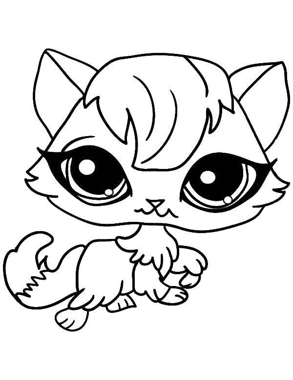  Раскраска милый котенок из мультфильма Мой маленький зоомагазин