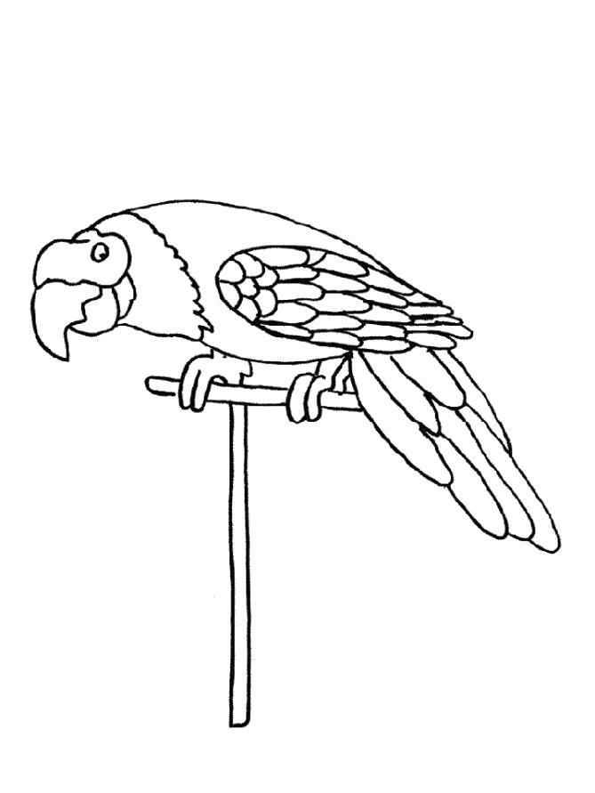  Раскраска попугай сидит на жердочке
