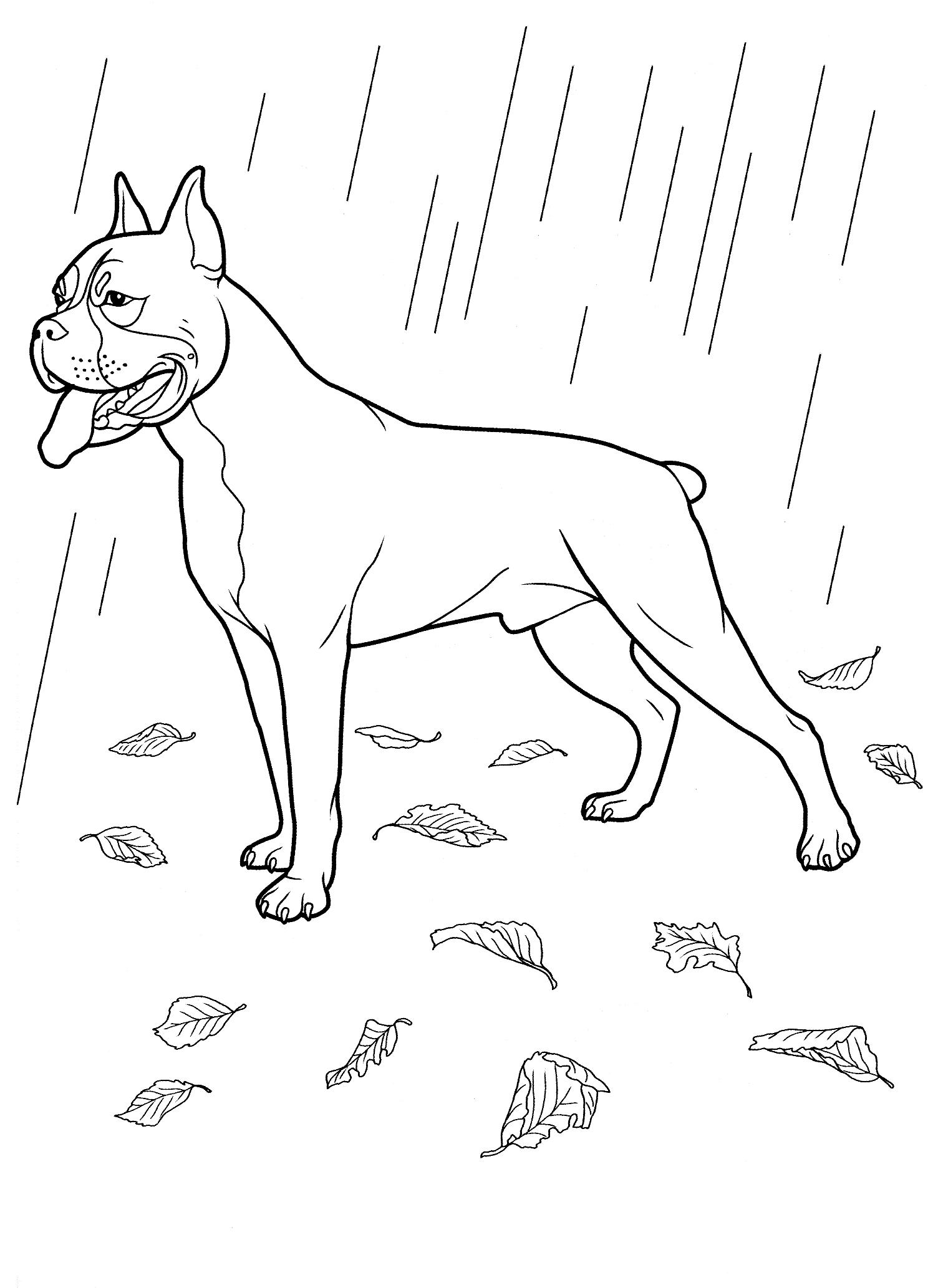 Раскраски природные явления дождь, раскраски дождик для школьников и подростков  Раскраска собака под дождем