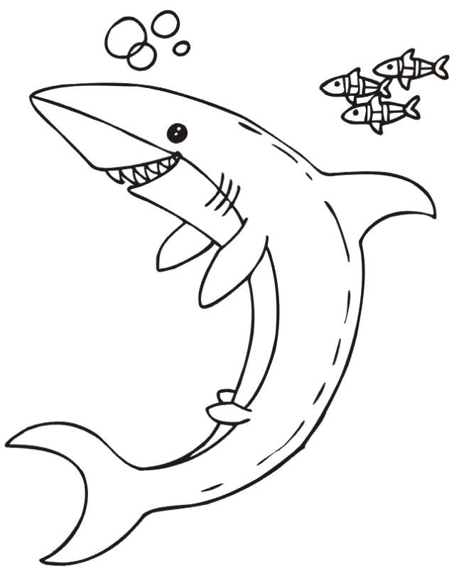  Раскраски акула и рыбки