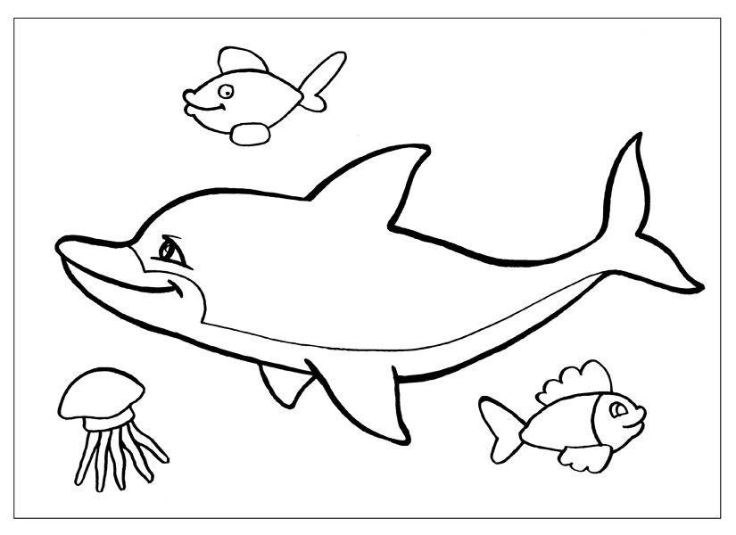 Раскраски дельфины дельфин   Раскраска дельфин, рыбы и медуза