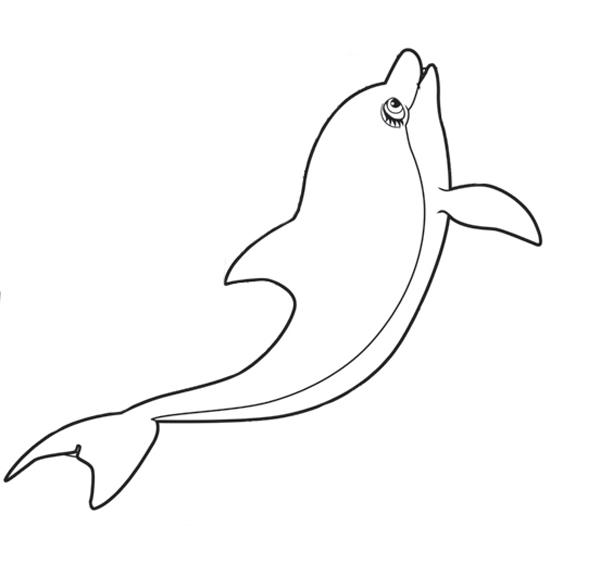 Раскраски дельфины дельфин   Раскраски дельфин в прыжке 