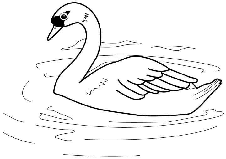 Раскраски лебедь лебеди   Лебедь на пруду