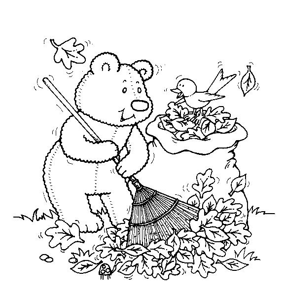 Раскраски с мишками Тедди, милые и красивые раскраски для детей с медвежатами  Раскраска мишка Тедди собирает осеннюю листву