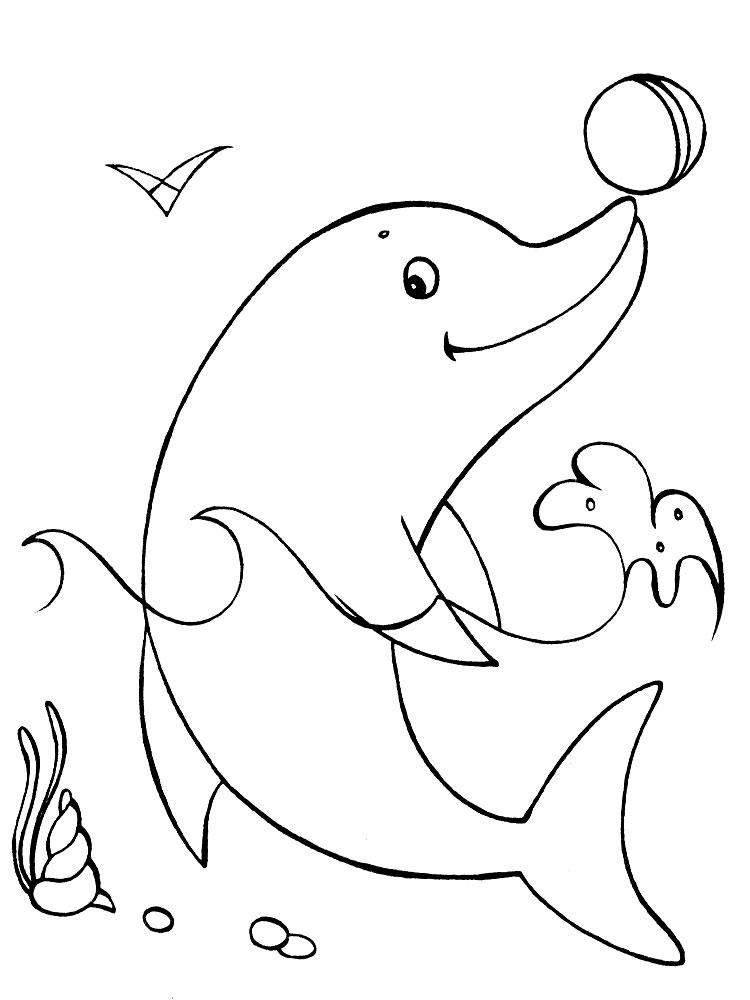 Раскраски дельфины дельфин   Раскраски дельфин держит на носу мяч