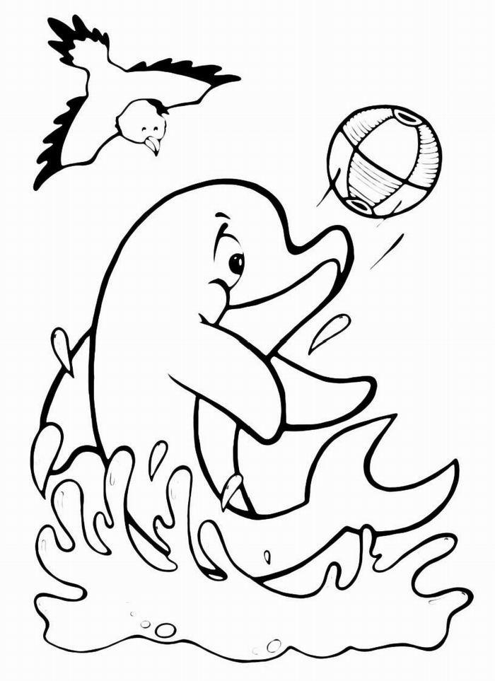 Раскраски дельфины дельфин   Раскраски дельфин играет с мячом