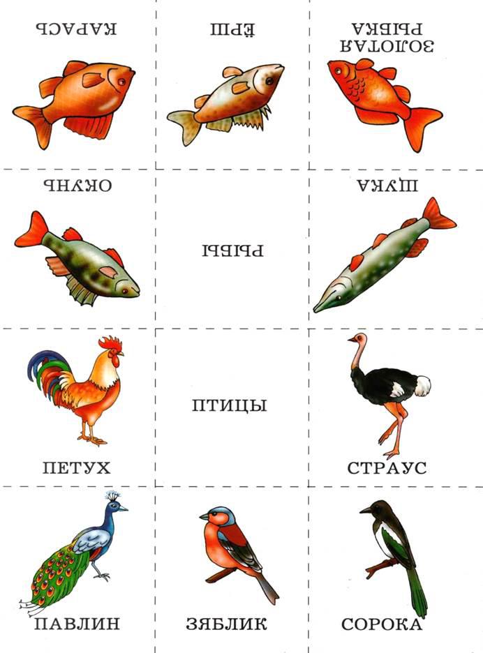  Карточки рыбы и птицы